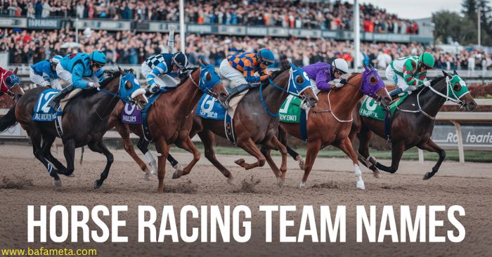 horse-racing-team-names