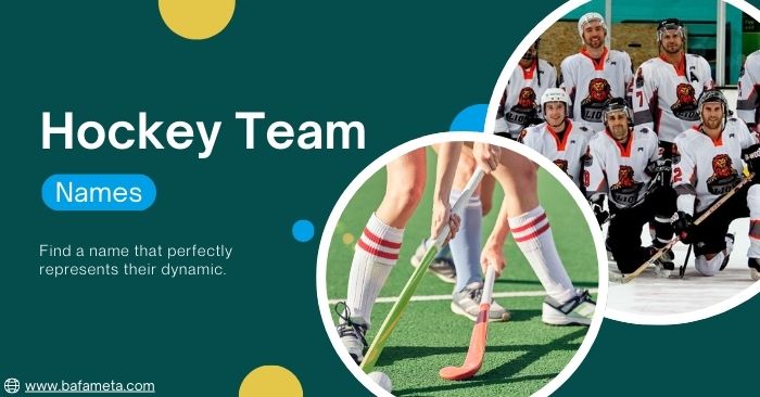 359-hockey-team-names-best-creative-and-funny-ideas