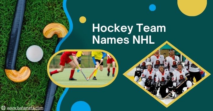 hockey-team-names-nhl-what-the-pros-choose